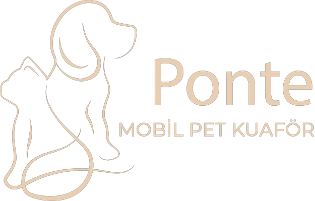 Ponte Mobil Pet